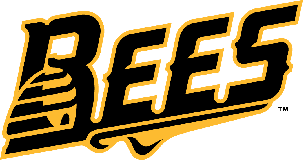New Britain Bees 2016-Pres Wordmark Logo v3 iron on transfers for clothing